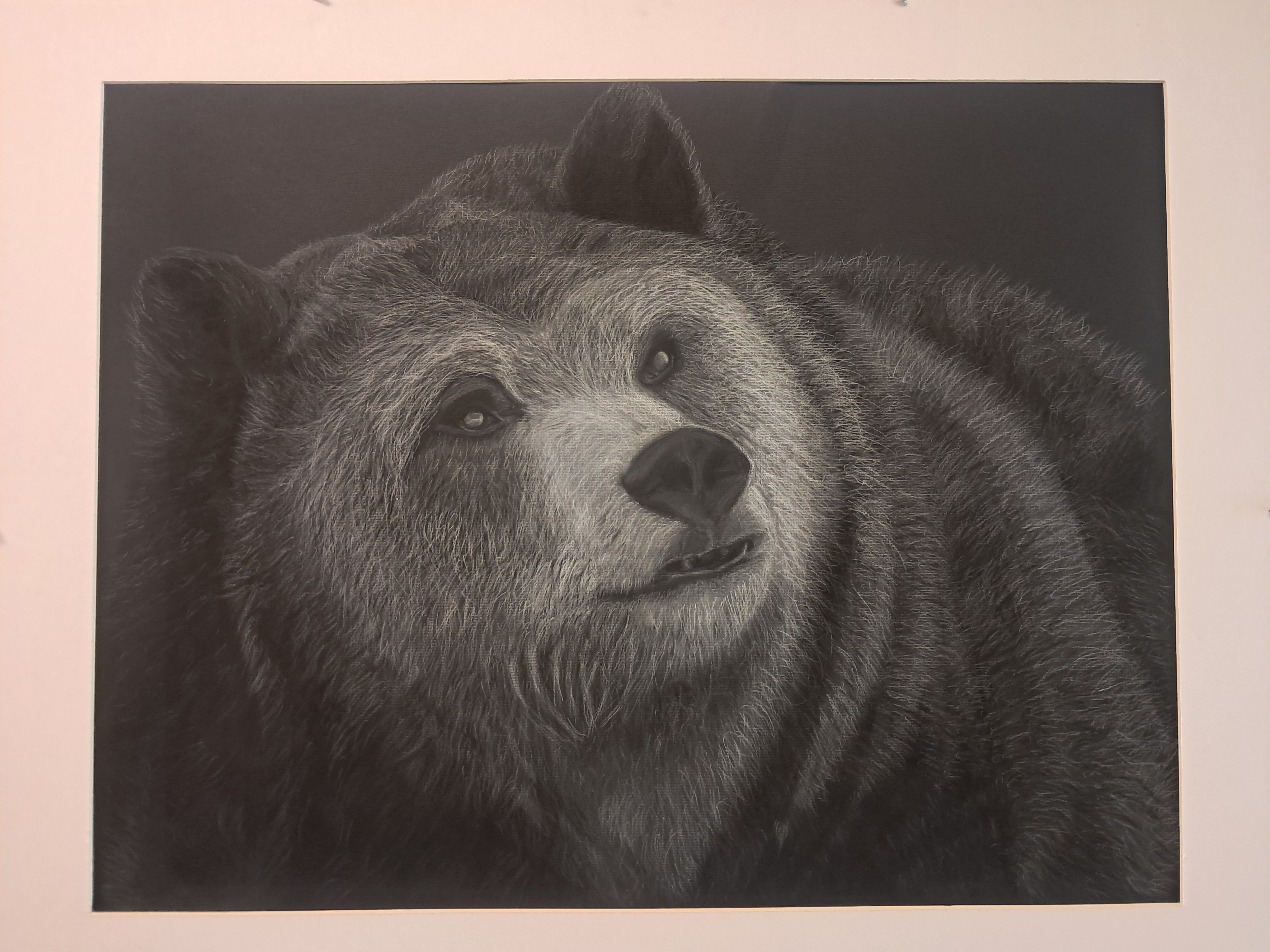 Charcoal bear drawing on black paper.